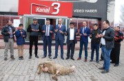 DUALARIMIZ AFRİN İÇİN 