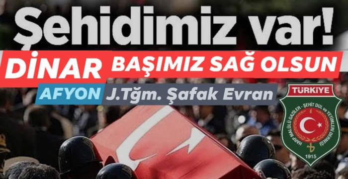 HEMŞEHRİMİZ J.TĞM. ŞAFAK EVRAN ŞEHİT OLDU.                  
